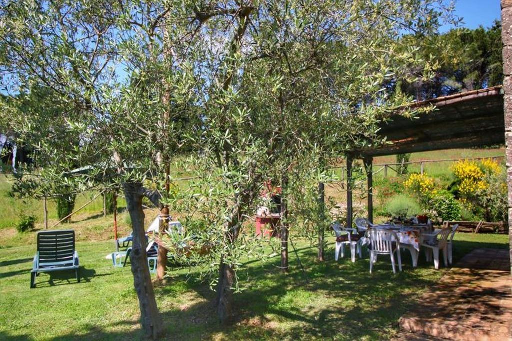 Agriturismo Bellavista Radicondoli Exteriör bild